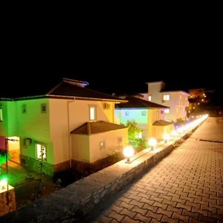 You Will Love This Luxury With Balconies And Private Pool In Alanya, 1033 فيلة
